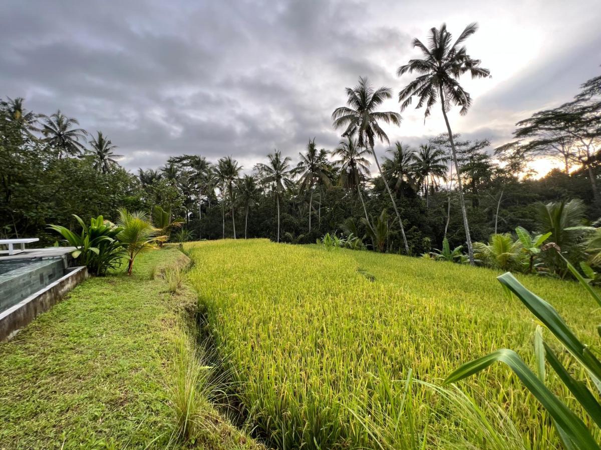 Uma Mupu Retreat Villa Payangan Eksteriør billede