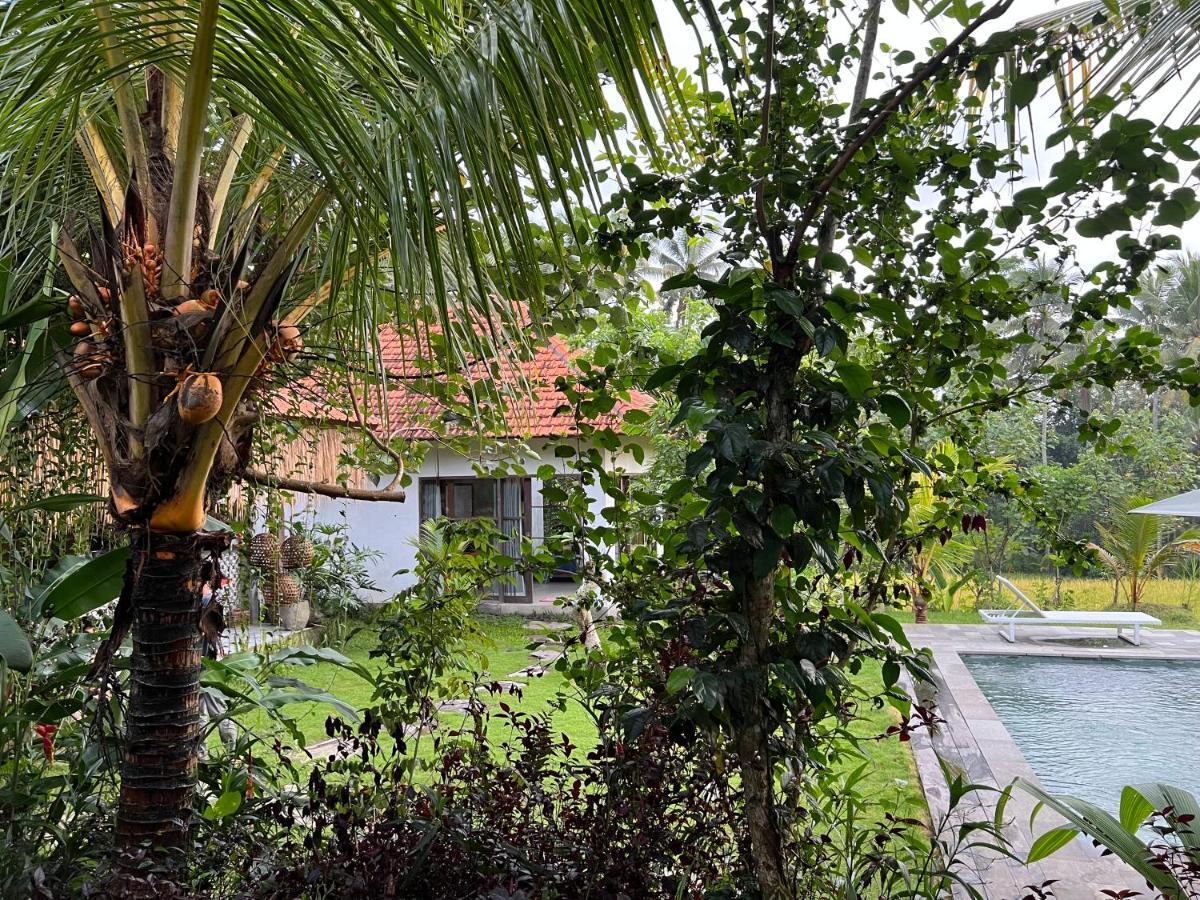 Uma Mupu Retreat Villa Payangan Eksteriør billede