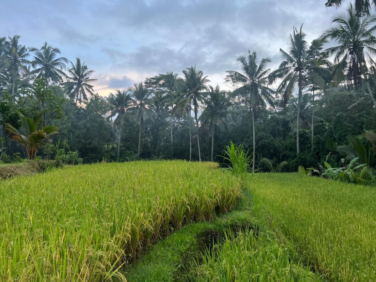 Uma Mupu Retreat Villa Payangan Eksteriør billede