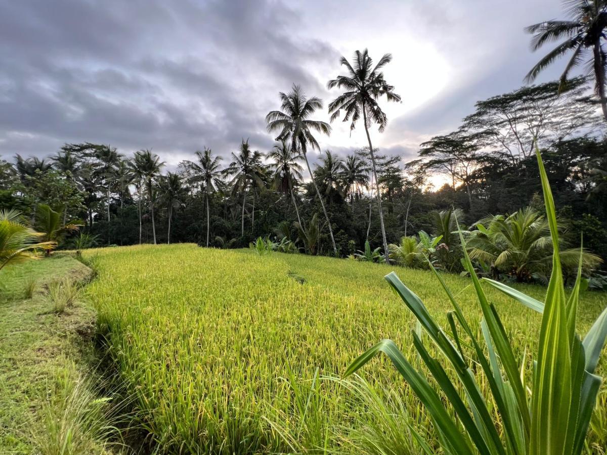 Uma Mupu Retreat Villa Payangan Eksteriør billede